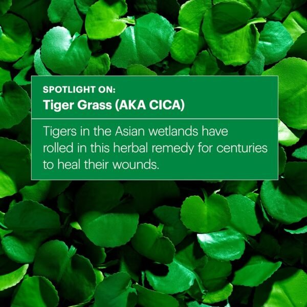 Dr.Jart+ Cicapair Tiger Grass Color Correcting Treatment SPF 22/PA++ 50ml - Image 5